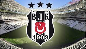 Seçim Türünü Seçmek
