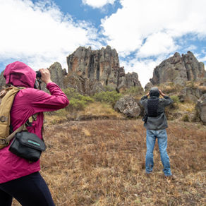 Guía Pateperro, una startup de turismo de experiencias