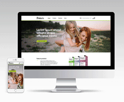 SFI Re-branding team