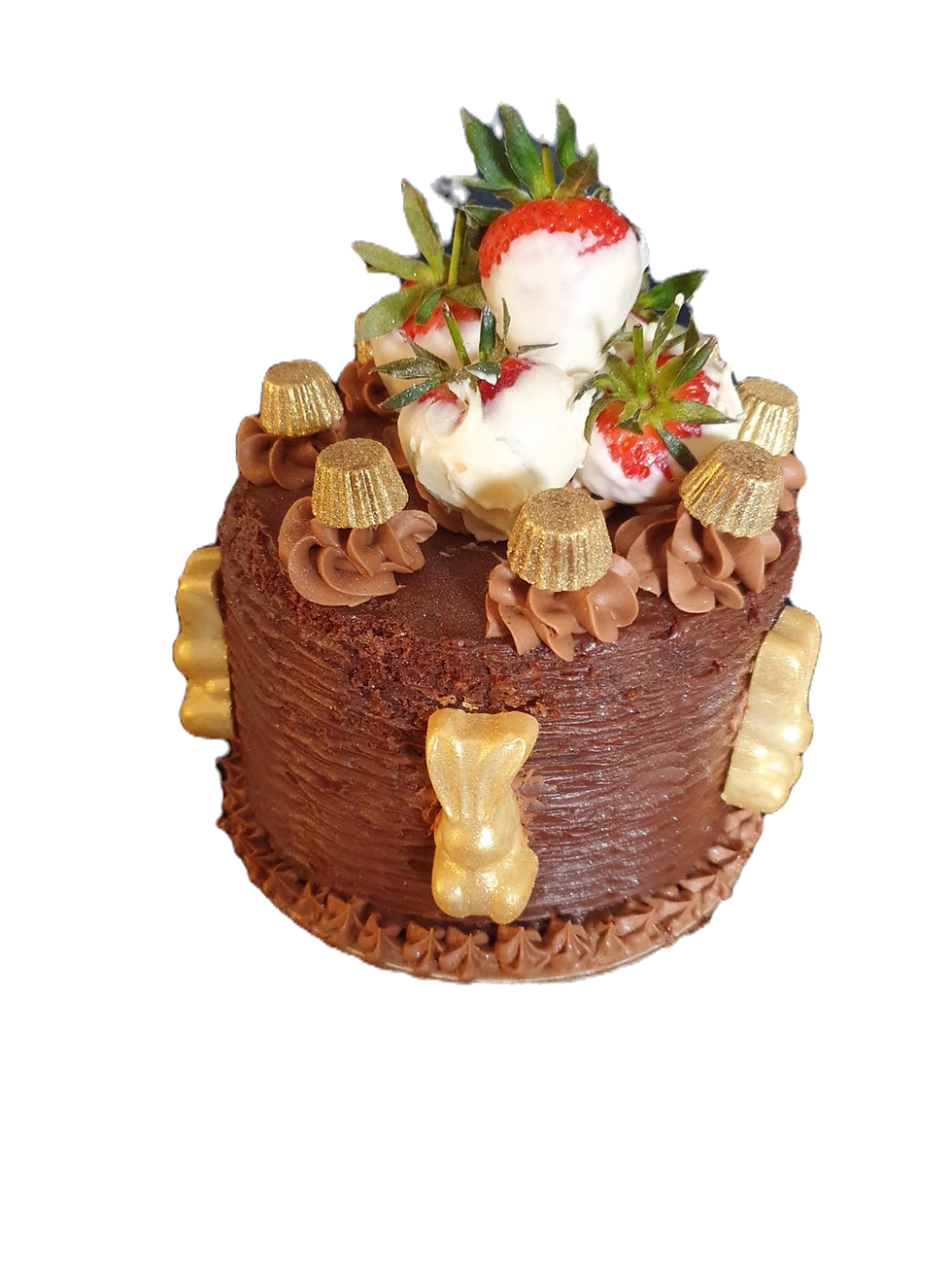 cc5cc4be-e42f-4f01-b85f-66bd8744633b_edited