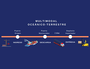 Operativa_de_exportaciÃ³n_(17).png