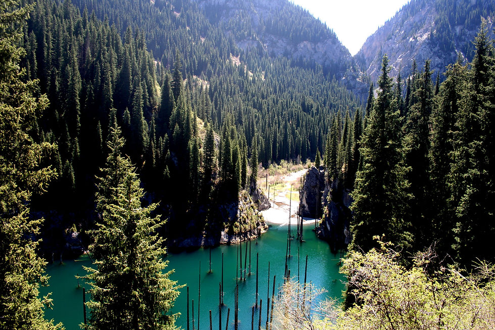 Un lago e la sua foresta sommersa (Kaindy lake – Kazakhstan aprile-maggio 2018)