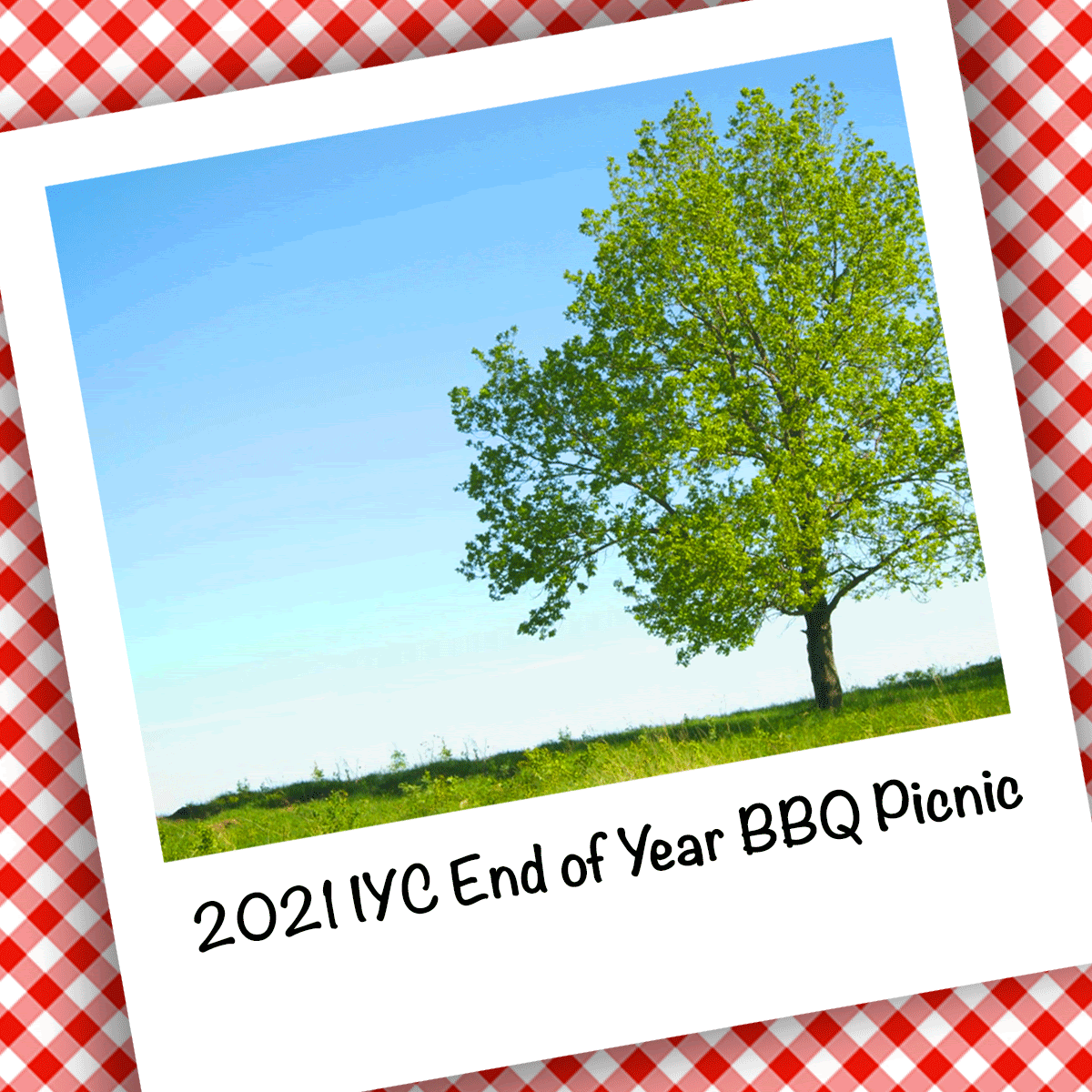 2021 IYC Picnic.gif