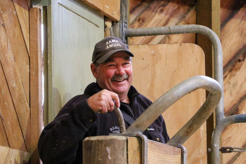 Ranui Bull Sale 2022-08.jpg