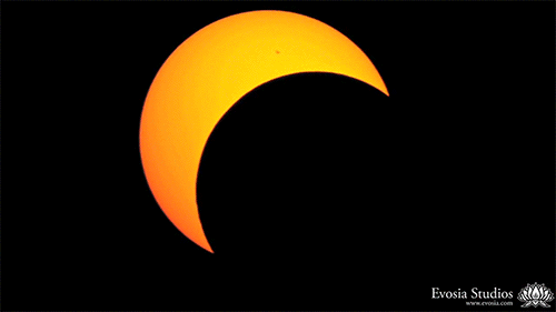 Solar eclipse-Annular.gif