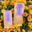 Thumbnail: TURMERIC AND GINGER