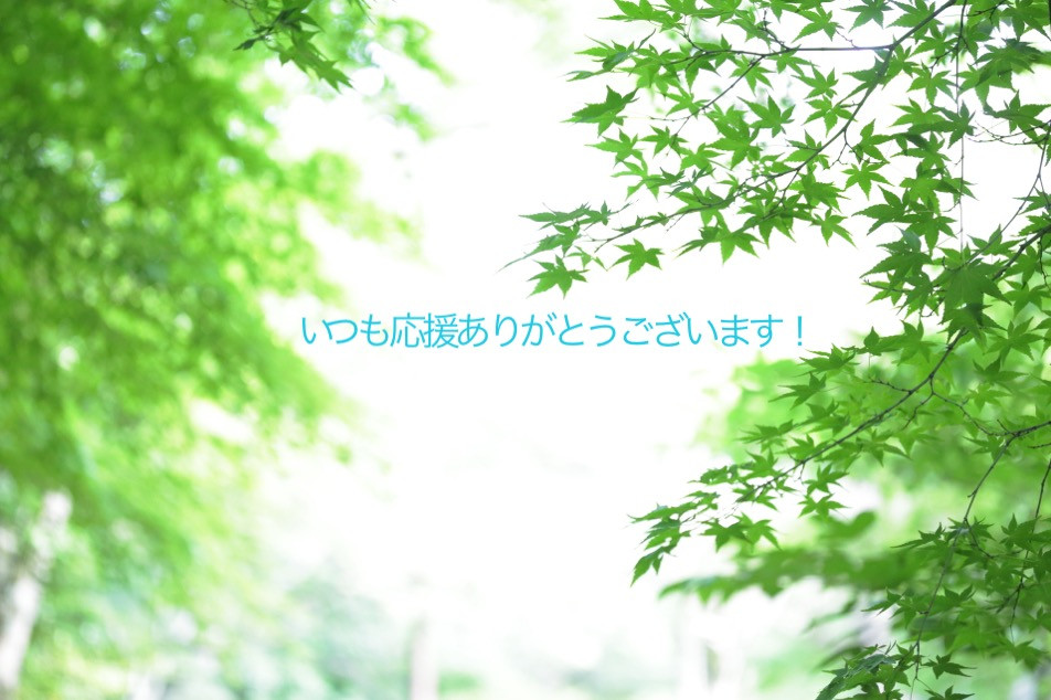 新緑の中感謝の言葉 いつもありがとう ありがとう
