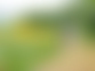 夏の家族写真