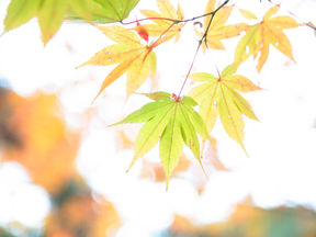 大阪へ出張撮影