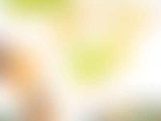 大阪へ出張撮影