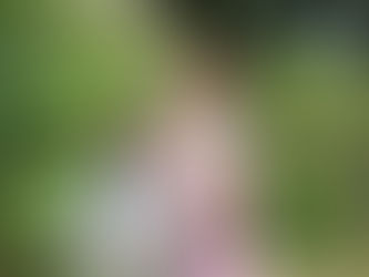 いろいろな出張撮影