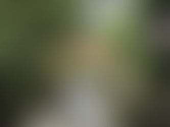 9月のご予約について