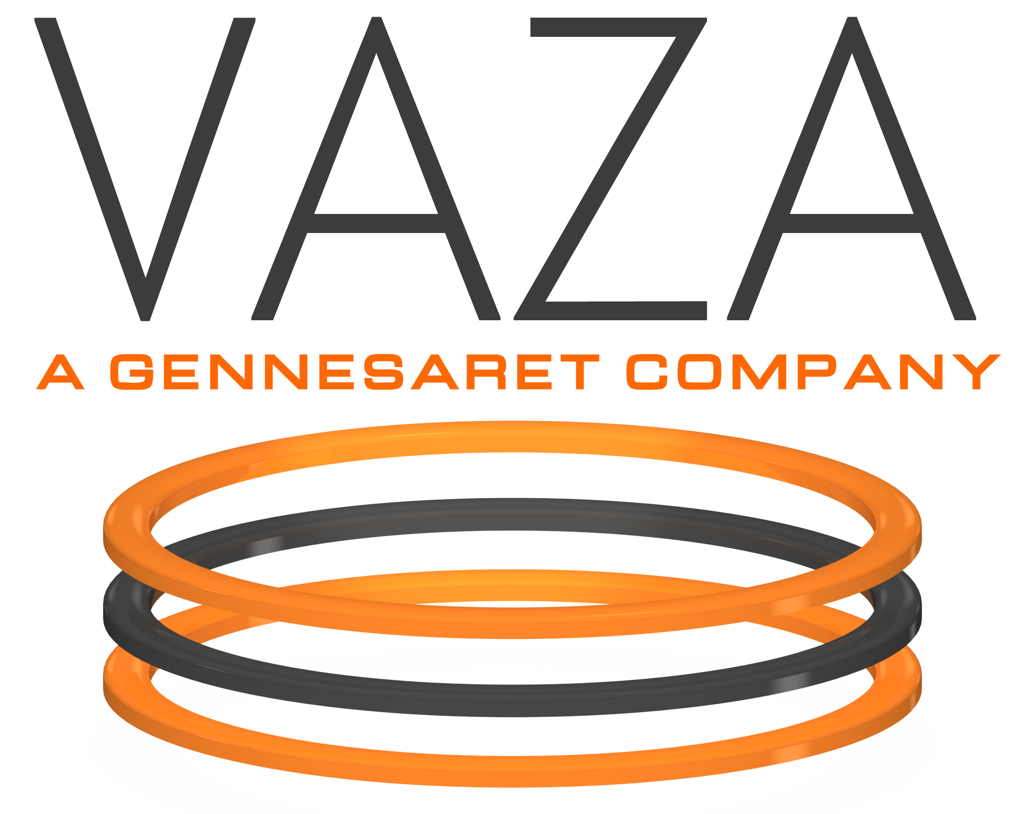 VAZA logo