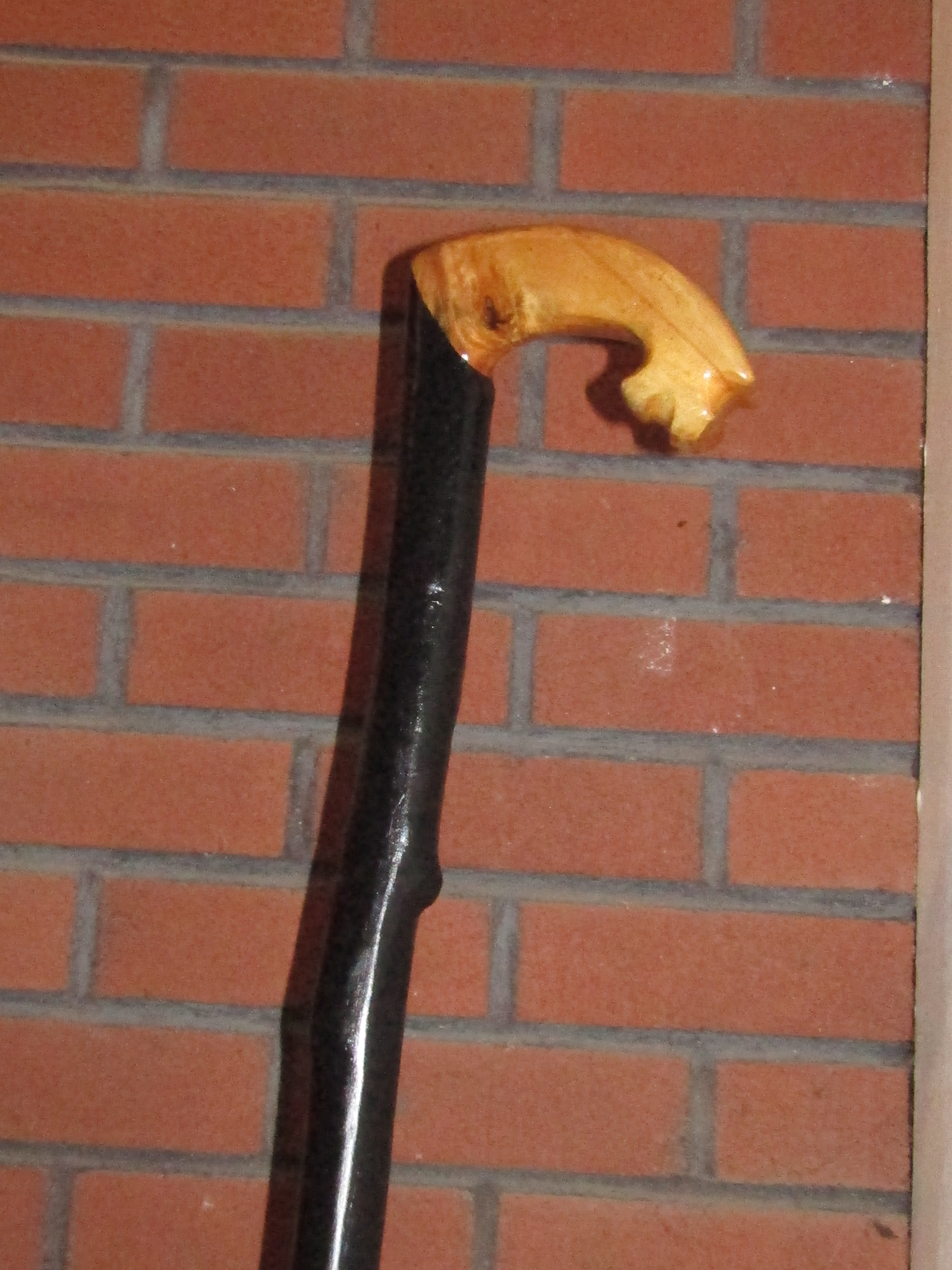Walking stick