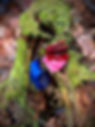 IMG_8306.JPEG