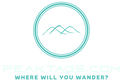 Peak Tags Color Logo