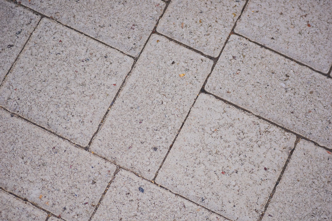Polymeric Sand vs Regular Sand for Pavers: Which to Use