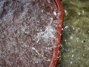 Grout Sealing in Holtsville, NY: A Local Season Guide