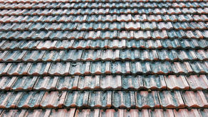 Professional Tile Restoration vs. DIY: What Works?