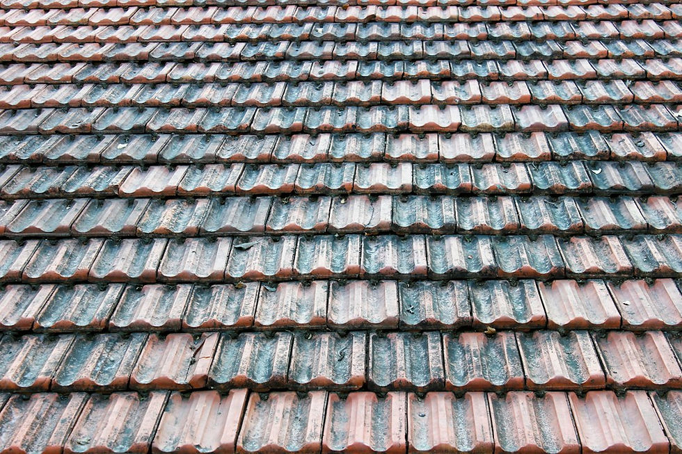 Professional tile restoration vs. diy what actually works? in Malverne NY