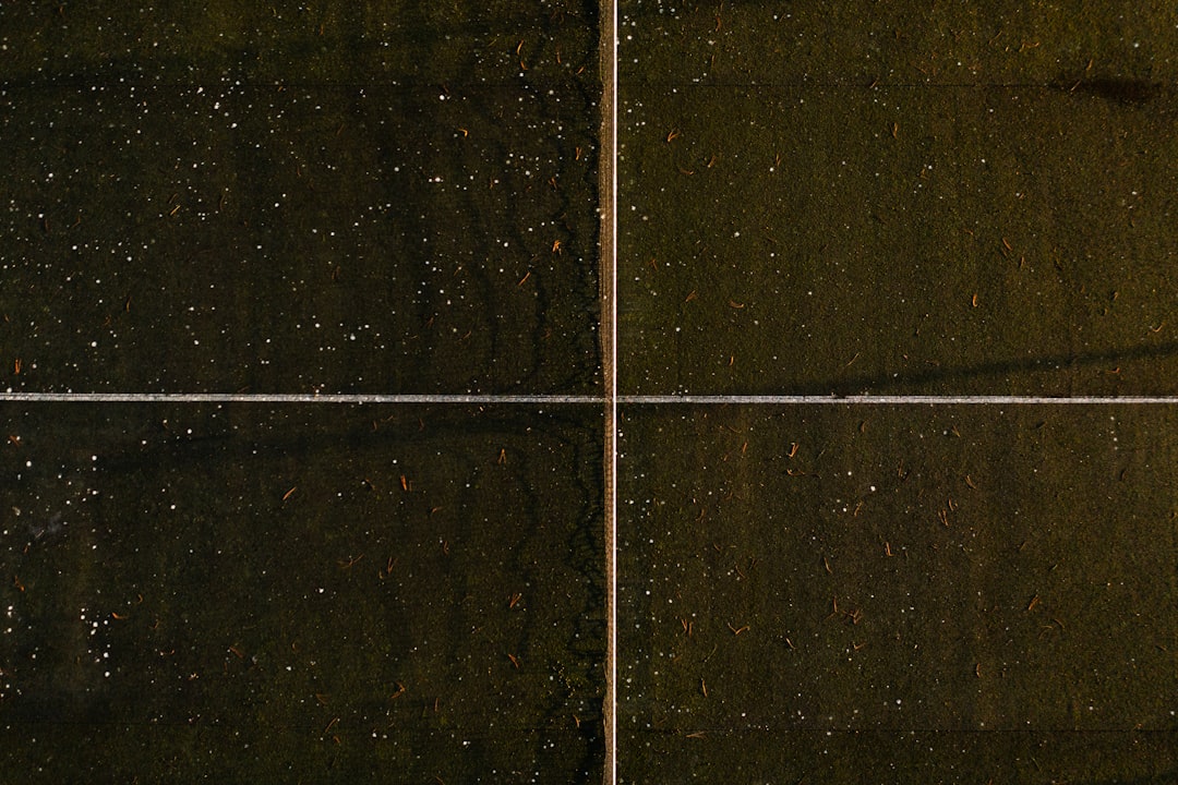 Regrout or Replace Tile? How to Make the Right Choice