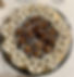 IMG_9633.jpeg