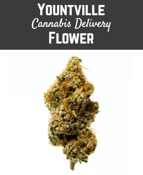 yountville weed delivery flower west coast smoke
