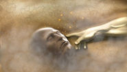 Genesis: Man In God’s Image