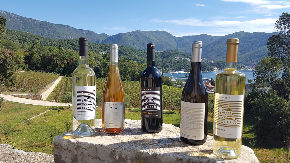 Vino-3.jpg