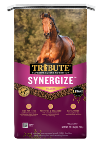 Synergize_Front Comp-200x300-8ea66b4.png