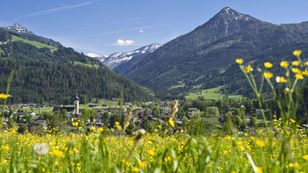 LevelUp English bringt drei Englisch Feriencamps im Sommer 2026 in die Schweiz