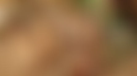 Weihnachtszauber in der englischsprachigen Welt