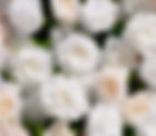Add On- Garden Collection 8x8 Blush