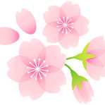 高校入試のレビュー