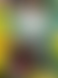 西新町駅のローソンでのこと