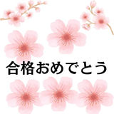 2024年 春 合格実績