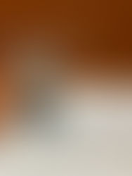 新規生全国43位の盾と表彰状