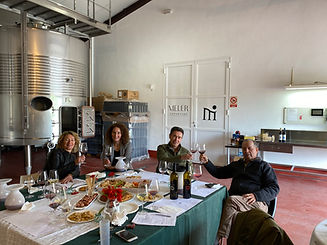 Winetasting in Spain