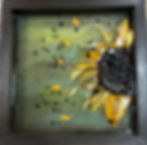 Resin Plank or Frame 