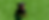 banner 3-01.png