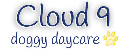 Cloud 9 quick logo-01.png