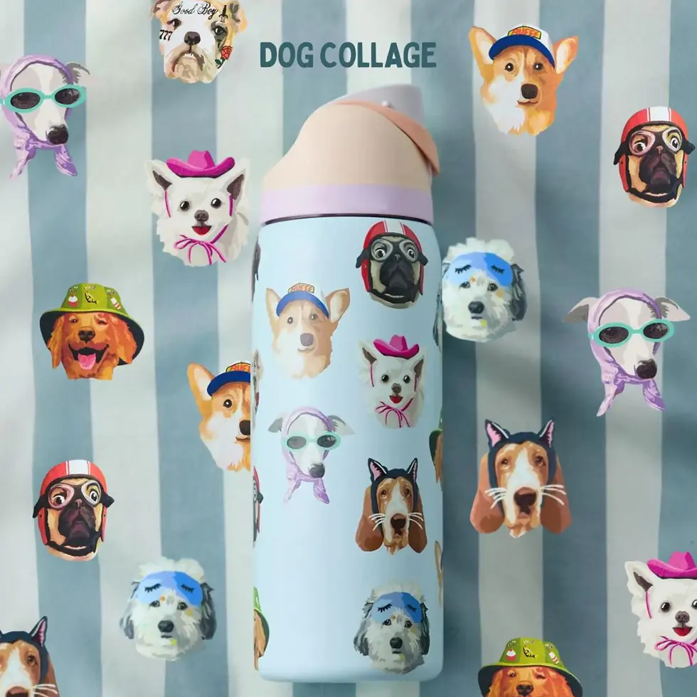縮圖：🐶 Owala 限量狗狗聯名水壺～每天都被療癒一次 🩵