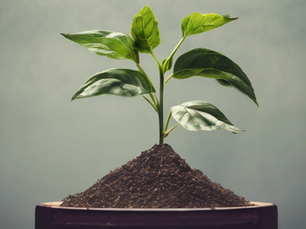 Riding the Second Wave: The Evolution of Secondary Private Equity and the Middle East's Emerging Landscape