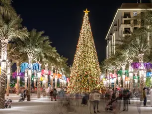 The 12 Gifts of MENA Private Markets: The Year that Reshaped Gulf Investment