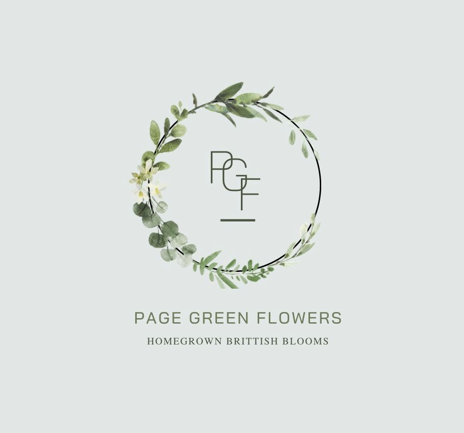 Writer: michelegreen0109