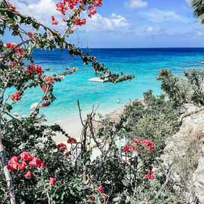 Uitzicht op het strand van Playa Kalki Curacao