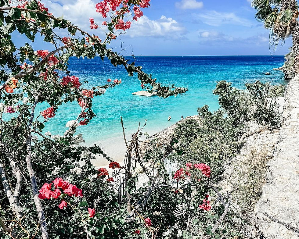 Uitzicht op het strand van Playa Kalki Curacao