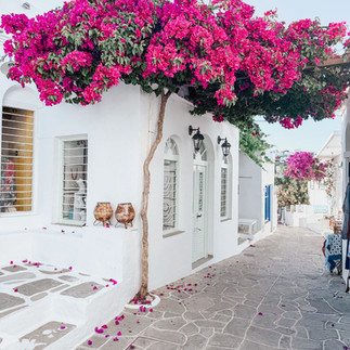 Appolonia Sifnos