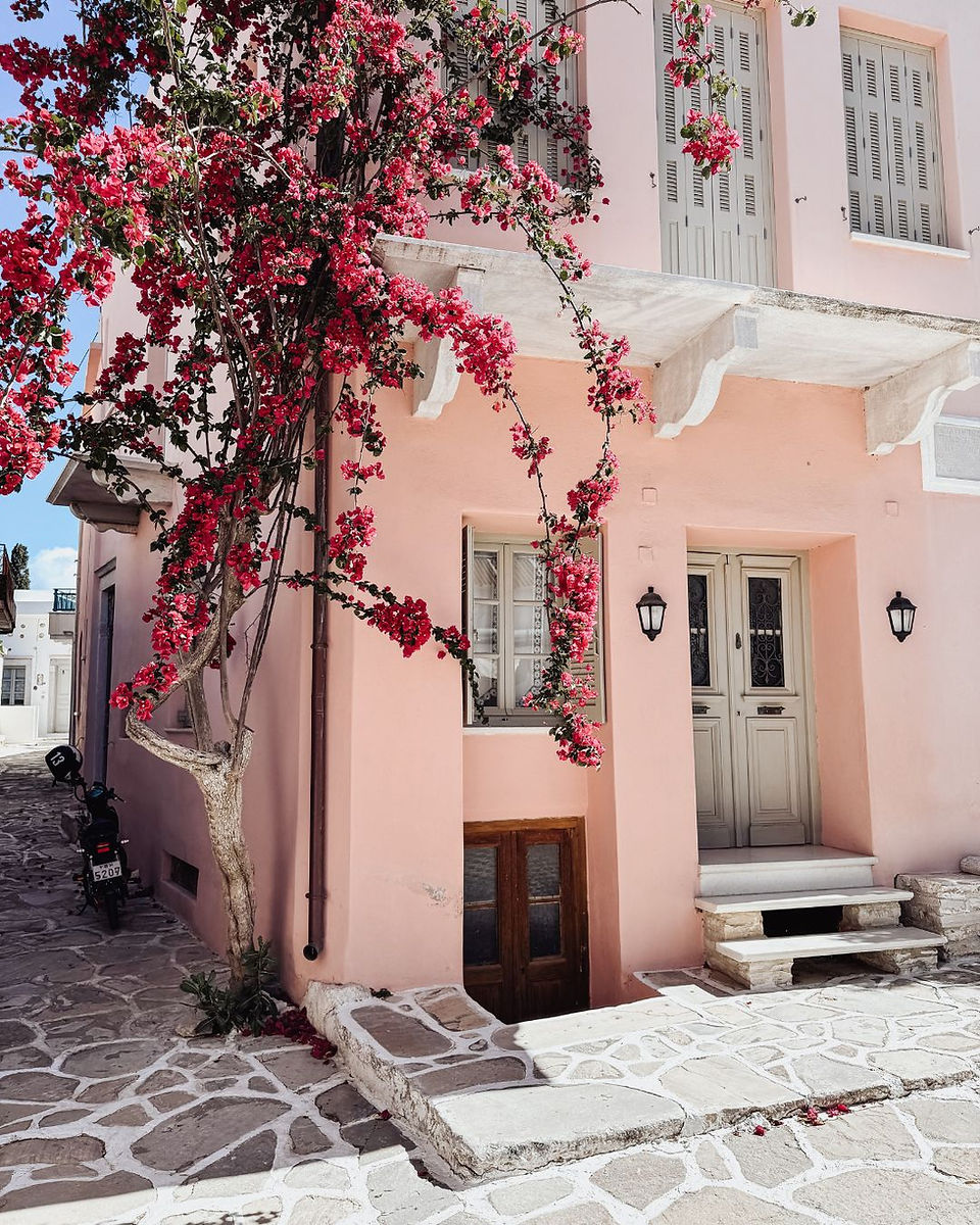 huis met Bougainville in Chalki Naxos