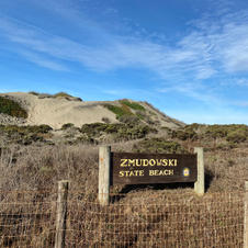 Zmudowski State Park.jpeg